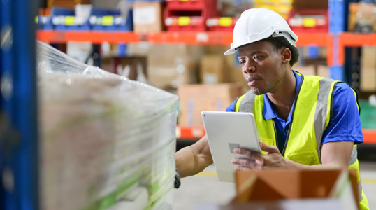 Procurement Inventory