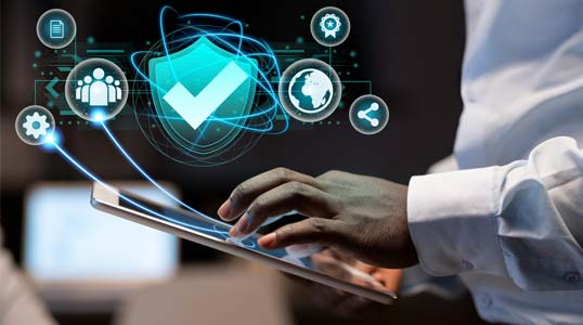 Cybersecurity and Digital Fraud Prevention