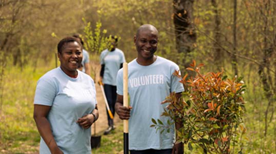 Donor grant management